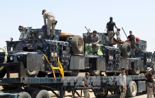 Ирак начал военную операцию по освобождению Фаллуджи  - ảnh 1